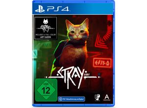 0811949035622 - Stray - PS4