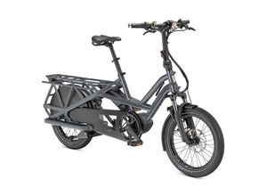 0812741027235 - GSD S00 - 20 Zoll 500Wh Enviolo Lastenrad - gloss blue grey