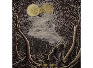 0822603195217 - As The Stars (Black Vinyl) (Reissue) - Woods Of Desolation (LP)