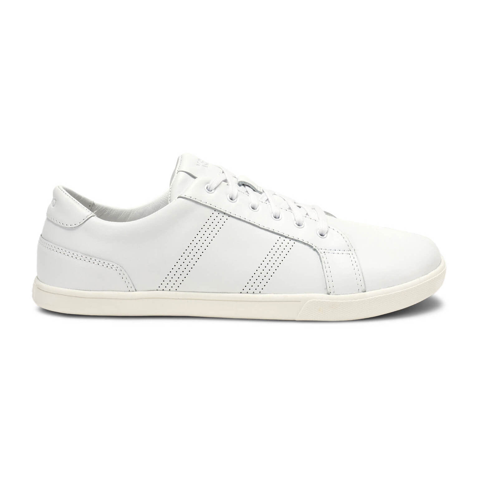 0840187671675 - Leder-Sneaker Dillon 0840187671675 - Leder-Sneaker Dillon