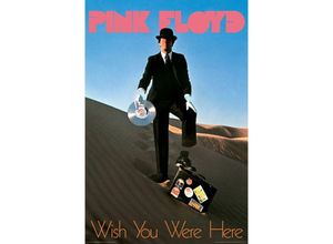 0840391145283 - - Pink Floyd Poster Wish You Were Here Record Man