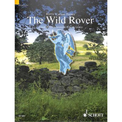 0841886006270 - The wild rover - 8 irische Melodien