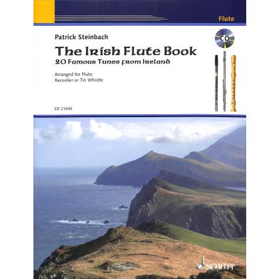 0841886020504 - The irish flute book