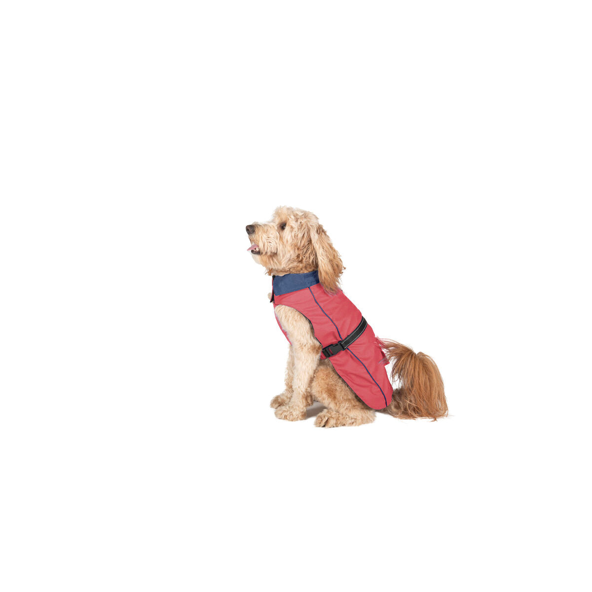 0849670023540 - Regenmantel für Hunde Koralle 35 cm