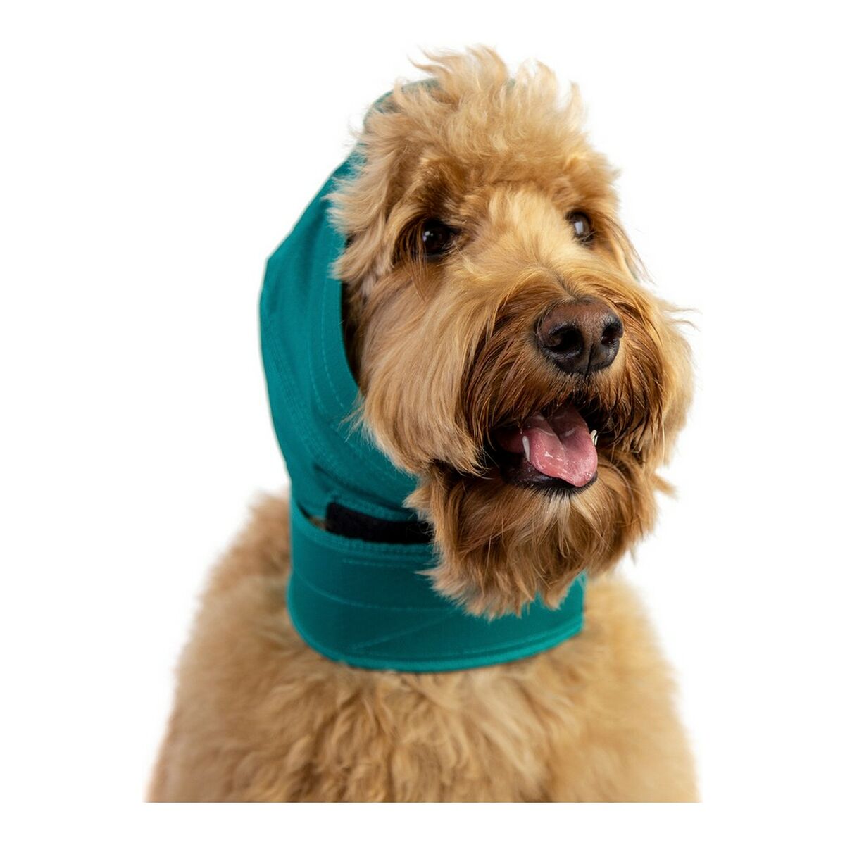 0856328007241 - Ohrenschützer für Hunde grün 20 0856328007241 - Ohrenschützer für Hunde grün 20