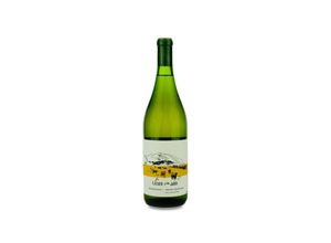 0860004113645 - Scar of the Sea Vino de los Ranchos Sta Maria Valley Chardonnay 2021 - 75cl