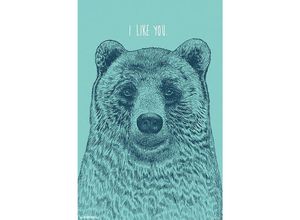 0882663077892 - Trends International - i Like You Bear Poster Rachel Caldwell