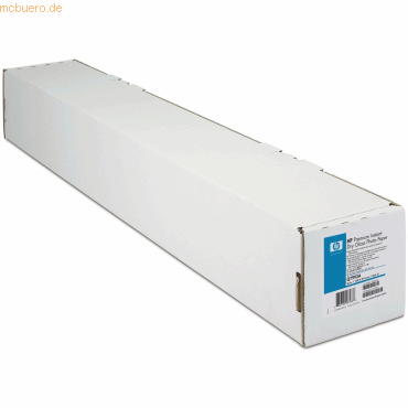 0882780085664 - HP Everyday Instant-dry - Fotopapier (glänzend) - Rolle A1 (61 cm x 229 m) - 260 g m² - 1 Rolle