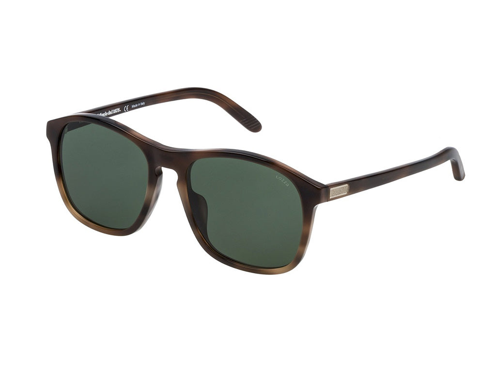 0883663939913 - Unisex SL1845F COOPER 0752 Gläser SONNENBRILLEN Acetat Havanna Grün Quadratisch Normal Anti -Reflex