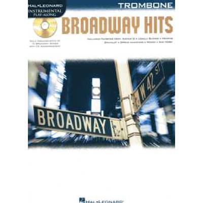 0884088560294 - Broadway hits