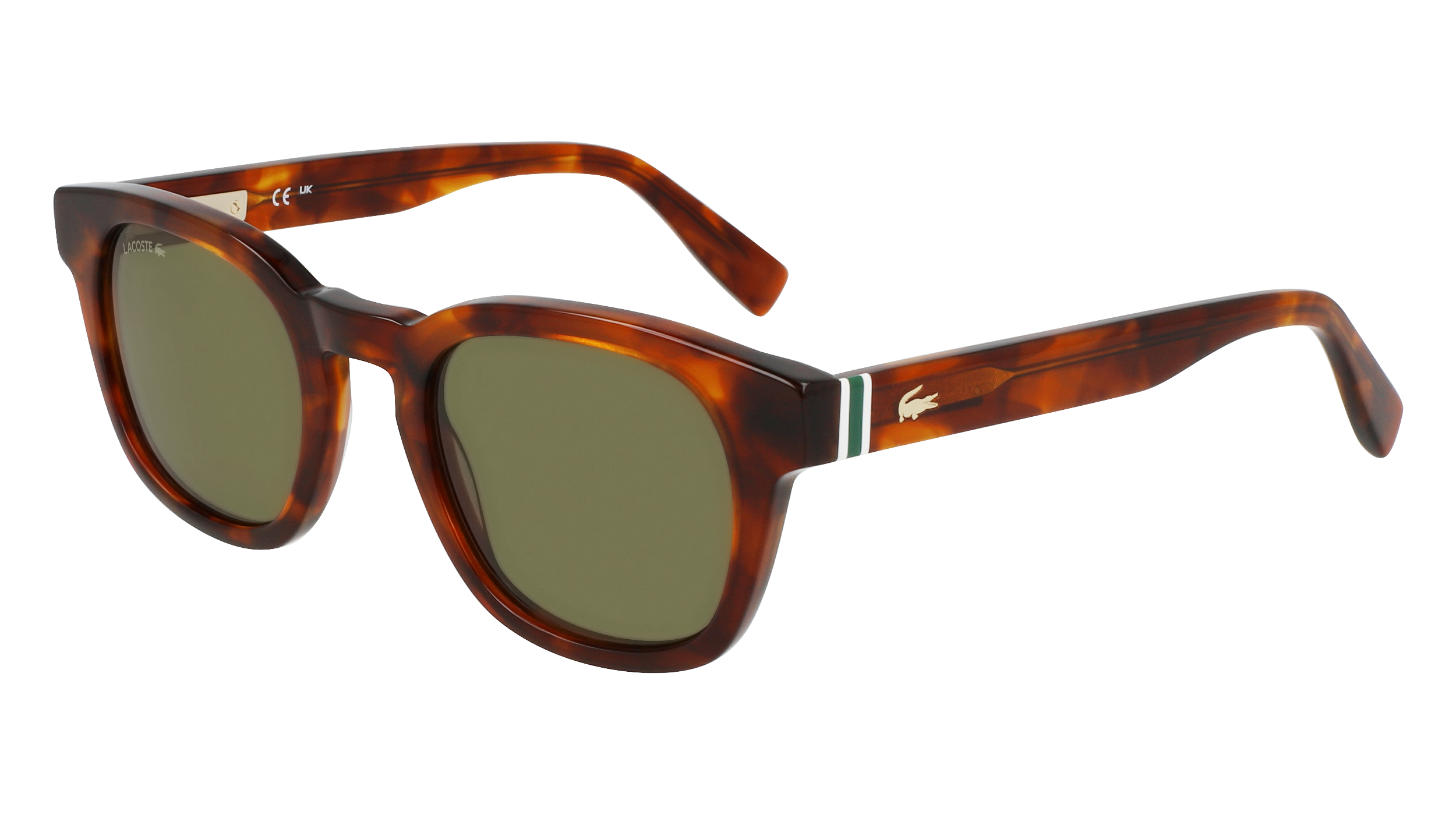 0886895617932 - Unisex L6015S 218 Gläser SONNENBRILLEN Acetat Havanna Grün Quadratisch Normal Normal