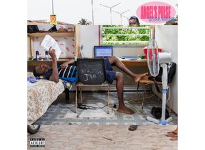 0887828046010 - AngelS Pulse (Heavweight Lp+Mp3) (Vinyl) - Blood Orange (LP)