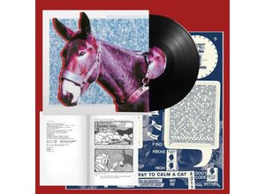 0887828046416 - Ultimate Success Today (Lp+Mp3+Poster) (Vinyl) - Protomartyr (LP)