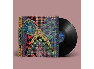 0887829136819 - Defeat (Ltd 12inch+Mp3) - Animal Collective (LP)