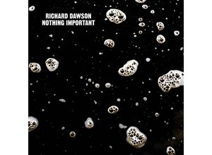 0887833004814 - Nothing Important (Lp+Mp3) (Vinyl) - Richard Dawson (LP)