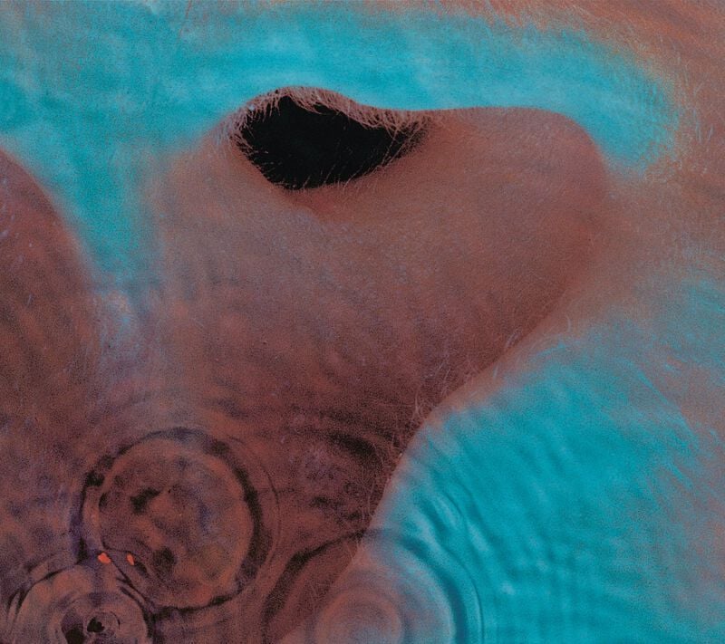 0888751708921 - Meddle CD multicolor