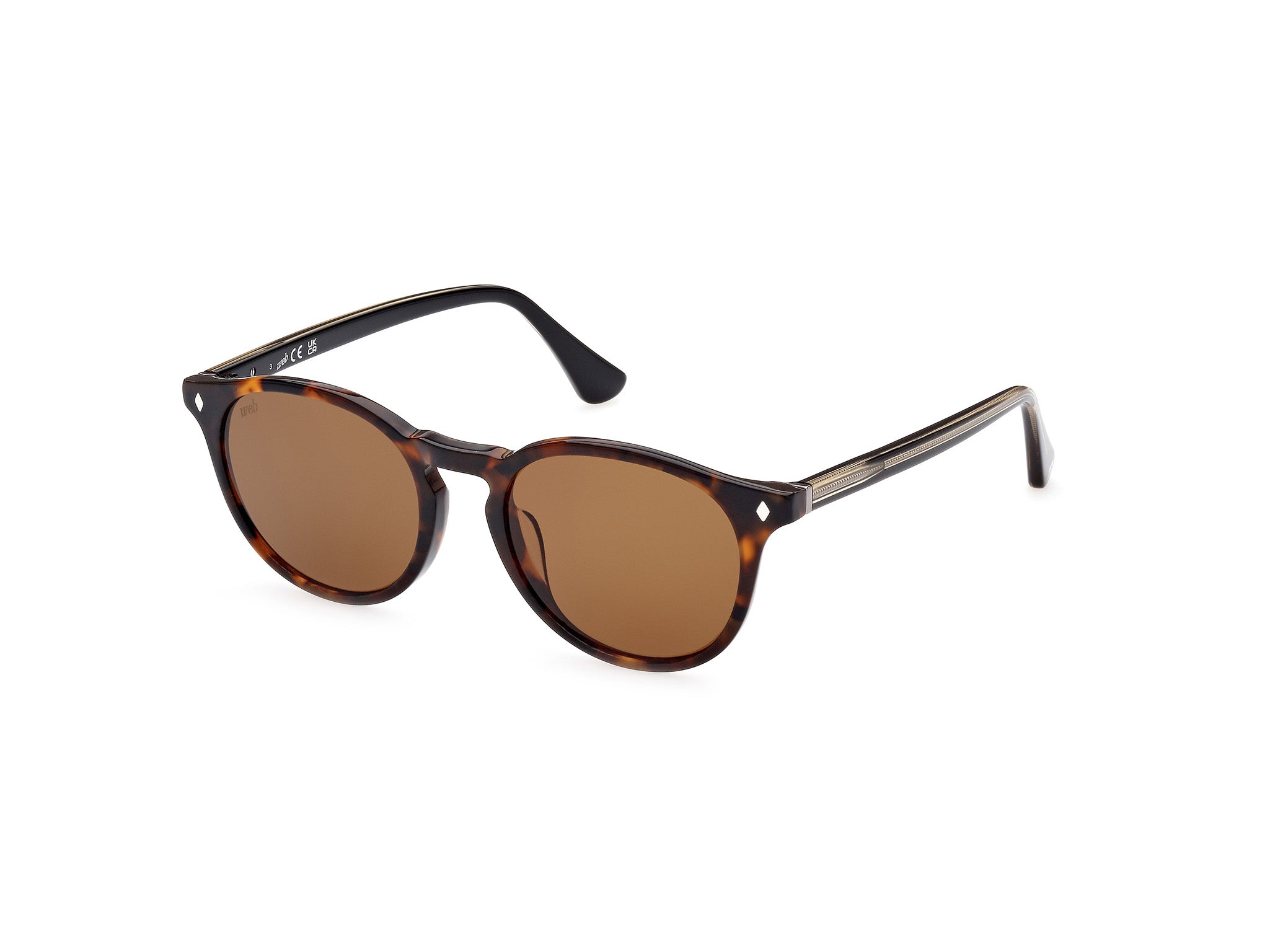 0889214339072 - Unisex WE0328 56E Gläser SONNENBRILLEN Acetat   Rund Normal