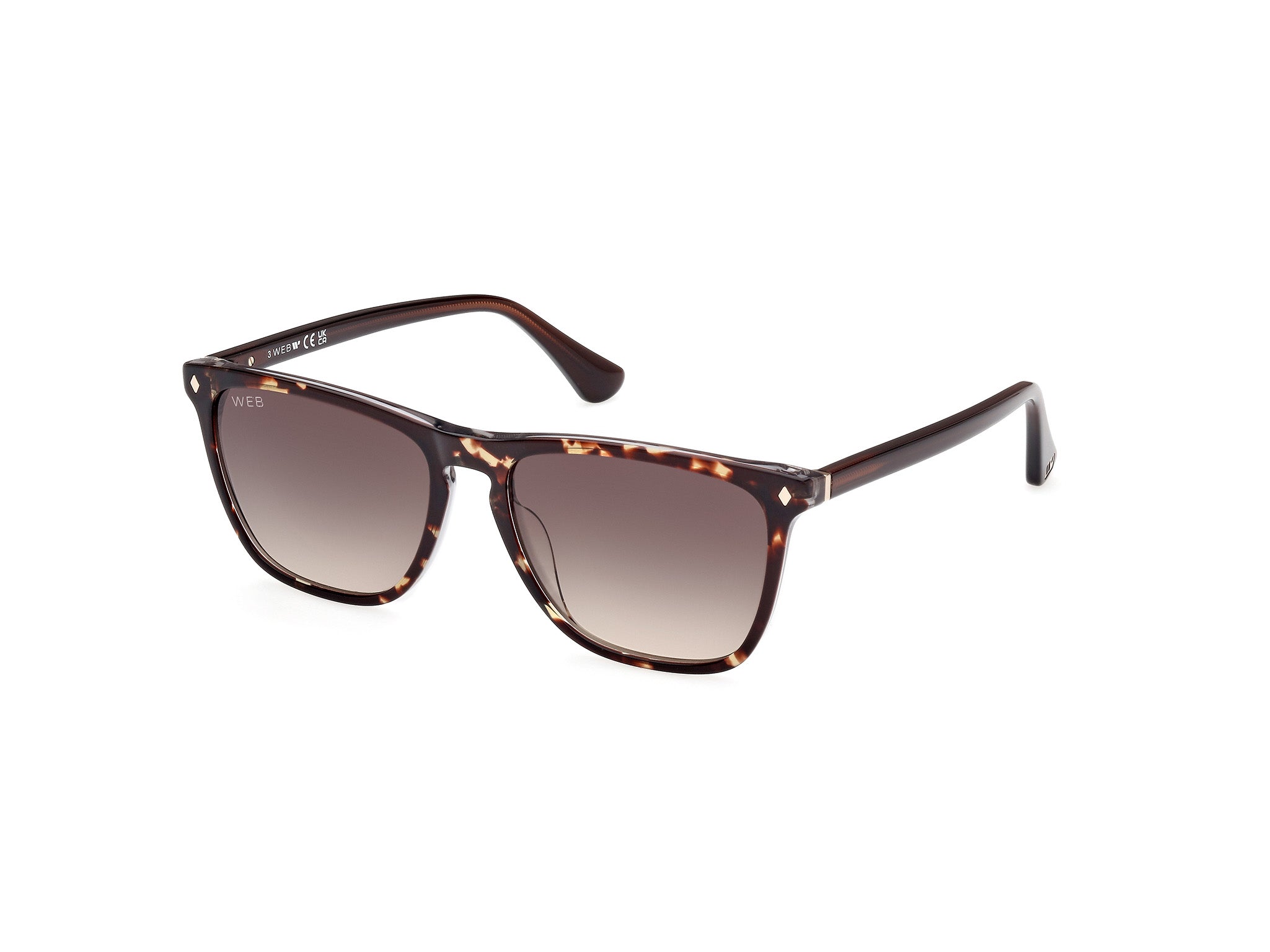 0889214469908 - Herren WE0363 56B Gläser SONNENBRILLEN Acetat Havanna Grau Quadratisch Normal Schattiert