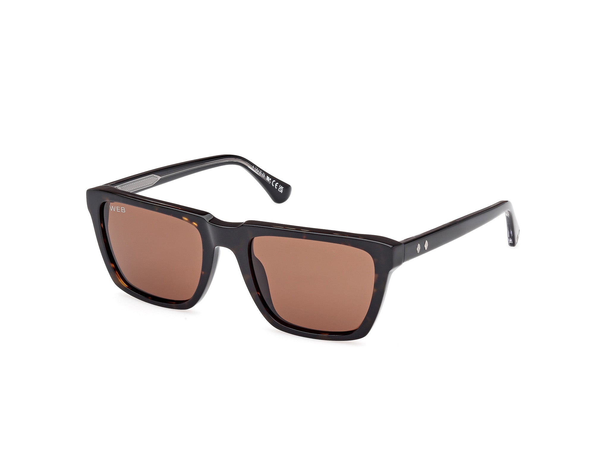 0889214538468 - Herren WE0379 56E Gläser SONNENBRILLEN Acetat Havanna Braun Quadratisch Normal