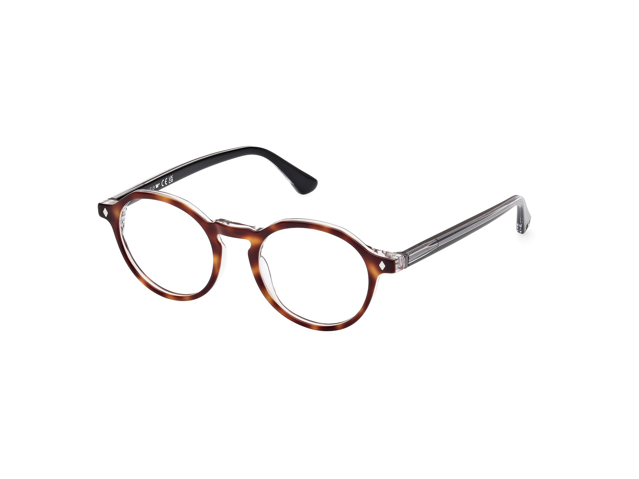 0889214538505 - Unisex WE5440 56 Rahmen von BRILLEN Acetat Havanna  Rund Normal