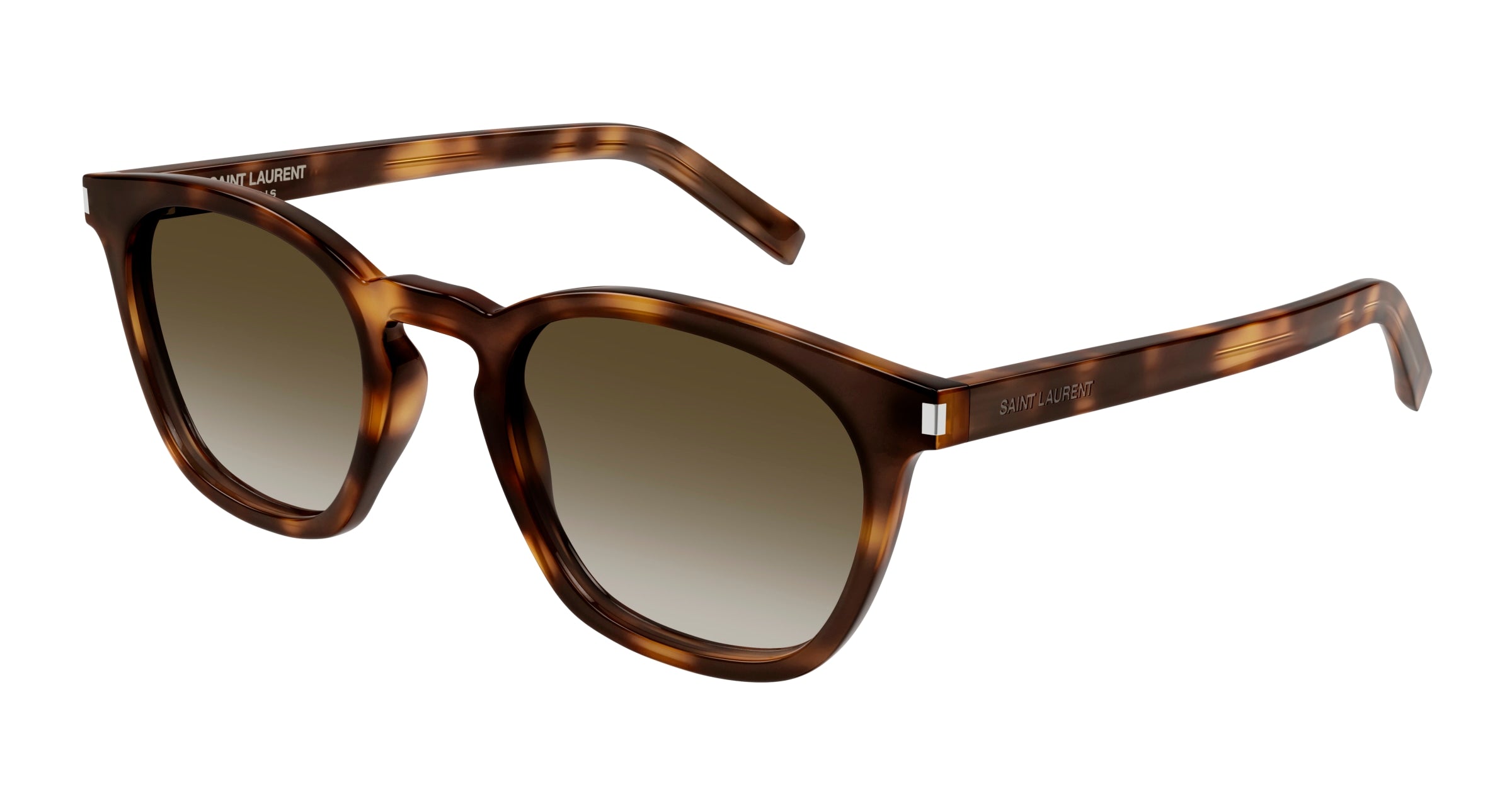 0889652488592 - Unisex SL 28 048 Gläser SONNENBRILLEN Acetat Havanna Braun Quadratisch