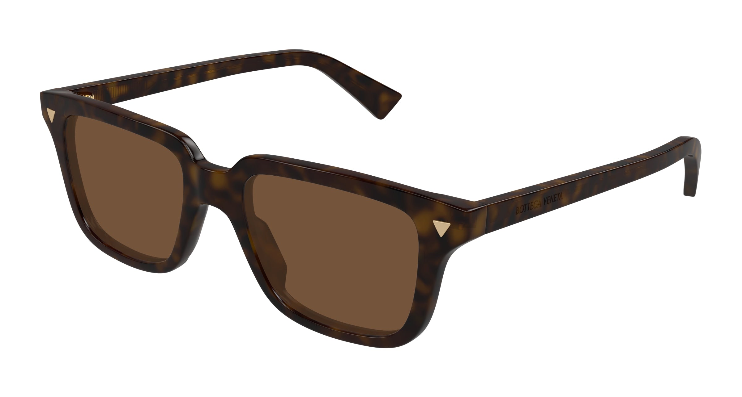 0889652545608 - Unisex BV1363S 002 Gläser SONNENBRILLEN Acetat Havanna Braun Quadratisch