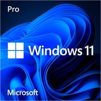 0889842905953 - MICROSOFT Betriebssystem Windows 11 Pro OEM Software eh13 PC-Software