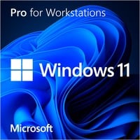 0889842906349 - Ms sb Windows 11 Pro for Workst 64Bit de dvd (HZV-00107) - Microsoft