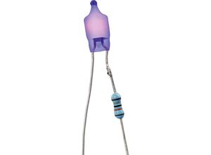 2050000229022 - 00081013 4 Glimmlampe 115 v 230 v Drahtenden Blau 1 St - Barthelme