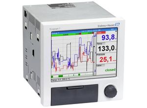 2050009595456 - Endress+Hauser RSG35