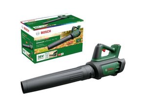 2050009743147 - AdvancedLeafBlower 36V-750 Akku 06008C6001920 B-Ware (beschädigte   fehlende Verpackung) Laubbläser ohne Akku 36 V