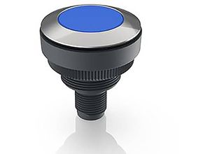 2050009901202 - RAFI RAMO 30 Meldeleuchte Edelstahl Blau 1 St