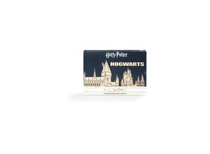 2100000910649 - Sockenadventskalender für Damen & Herren - Harry Potter Damen