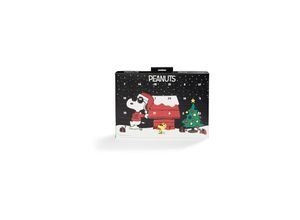 2100000910663 - Sockenadventskalender für Damen & Herren - Grinch Damen