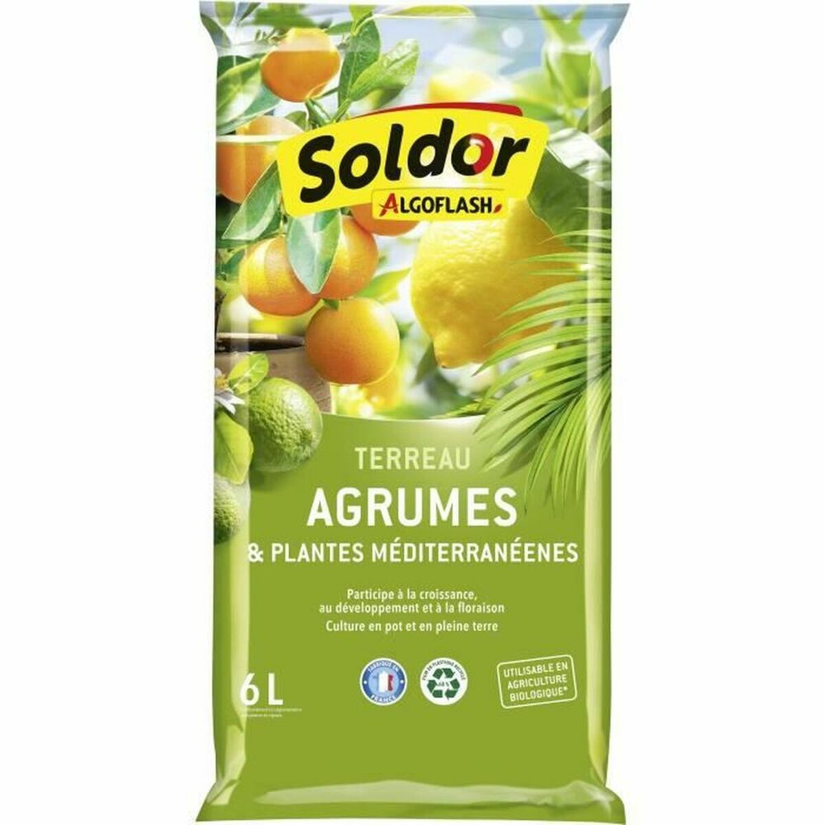 3167770219845 - Potting compost TAGRUM6 Citrus Mediterranean 6 L