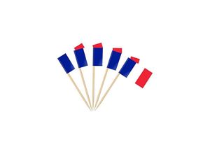 3181228671948 - Coocheer - 100 Stück Frankreich-Zahnstocher-Flagge französisches Bild für Pokalaufsatz französische Flagge Zahnstocher für Garten Bar Party