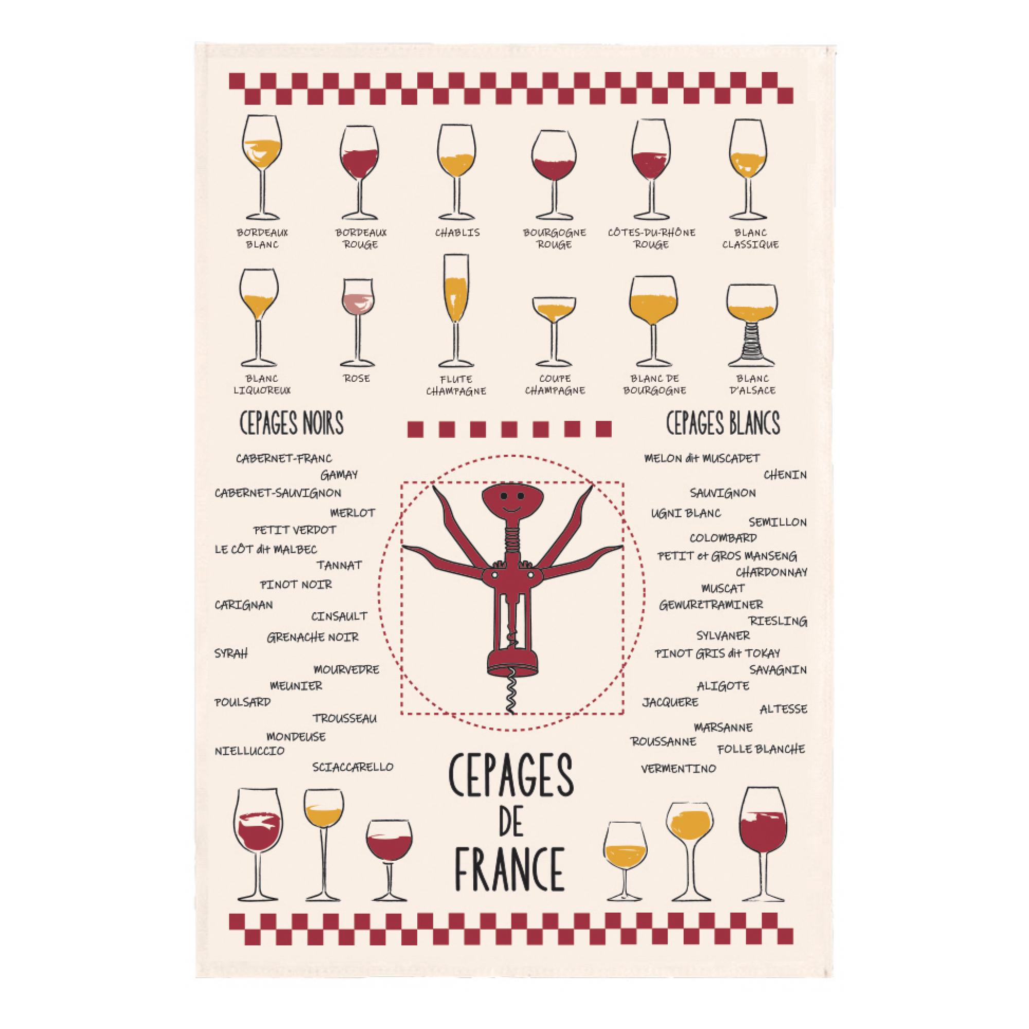 3210802962001 - Torchon - Weine und Rebsorten Winkler