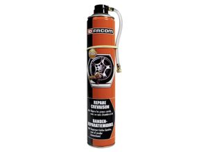 3221320060964 - FACOM Reifenreparatur-Spray 006096