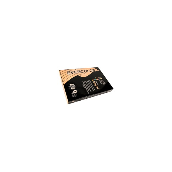 3288580300155 - Recyclingpapier evercolor 30015C lachs A3 80g 3288580300155 Clairefontaine 3288580300155 - Recyclingpapier evercolor 30015C lachs A3 80g 3288580300155 Clairefontaine