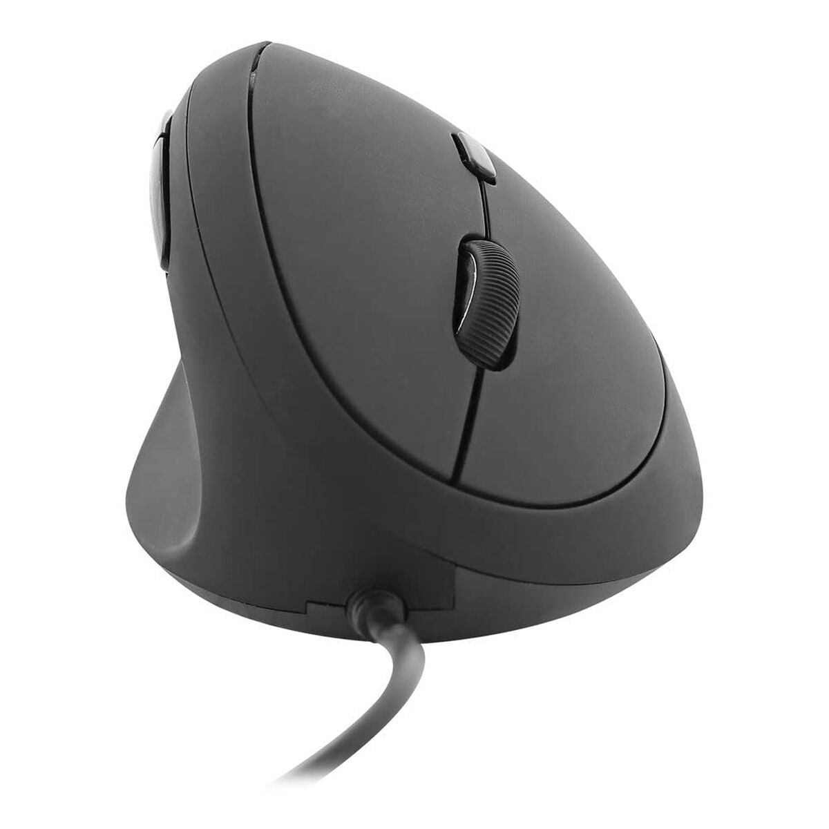 3303170111161 - Mouse TNB LEFTY 3303170111161 - Mouse TNB LEFTY