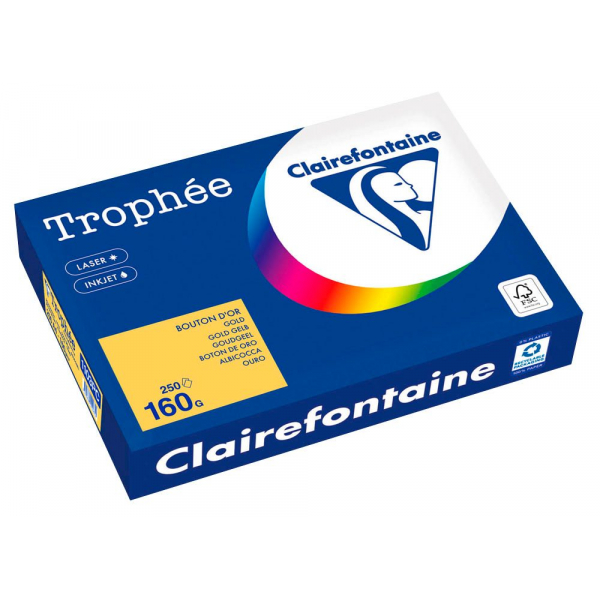 3329680002652 - Kopierpapier Trophée gold gelb DIN A4 160 gm² 250 Blatt 3329680002652 250 Blatt