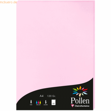 3329680042139 - 10 x Papier Pollen A4 120g 50 Blatt bonbonrosa