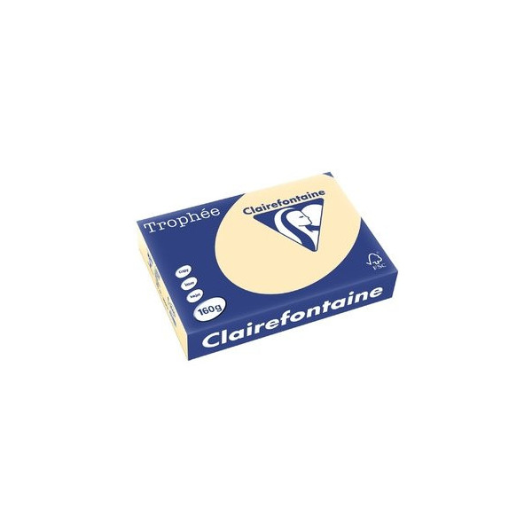 3329680104004 - 4 x Kopierpapier Trophee A4 160g qm VE=250 Blatt chamoi