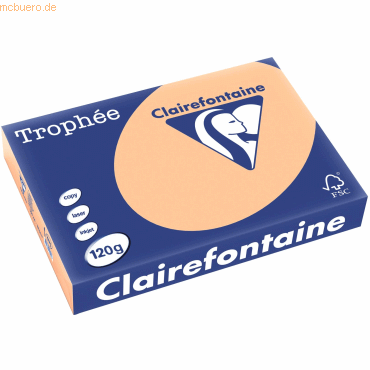 3329680127508 - Kopierpapier Trophee 1275C aprikose pastell A4 120g  3329680127508 250 Blatt