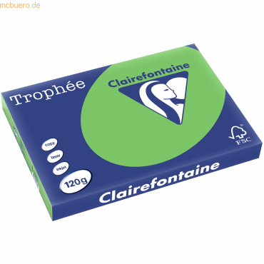 3329680138306 - 5 x Kopierpapier Trophee A3 120g qm VE=250 Blatt frühli