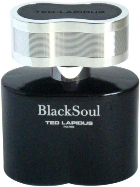 3355992004916 - BlackSoul Eau de Toilette (EdT) 30 ml