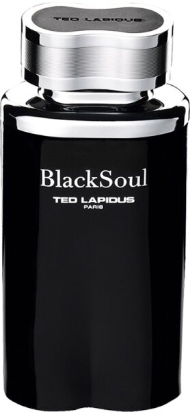 3355992004930 - BlackSoul Eau de Toilette (EdT) 100 ml