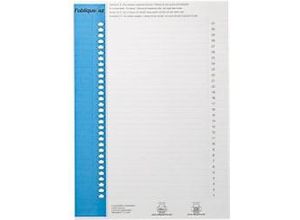 3362941300500 - ELBA Hängeregistraturenschilder Blau Papier 09 x 156 cm 300 Stück