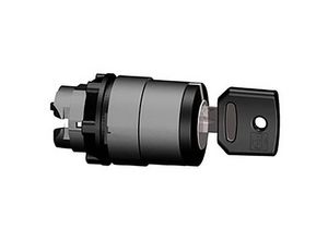 3389110135695 - ZB5AG014 Schlüsselschalter-Frontelement 1 St