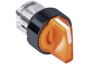 3389110841145 - ZB4BK18537 Leuchtwahlschalter-Frontelement 1 St